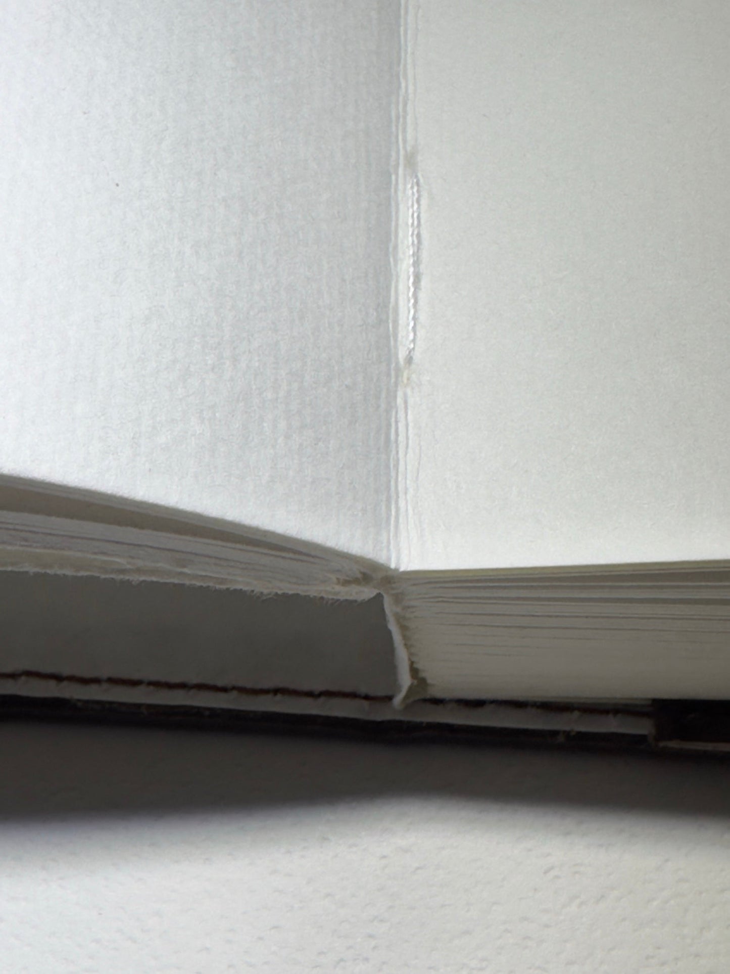 Large Banana Leather Journal — photo 4